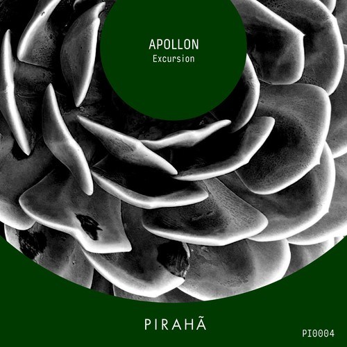 Apollon-Excursion