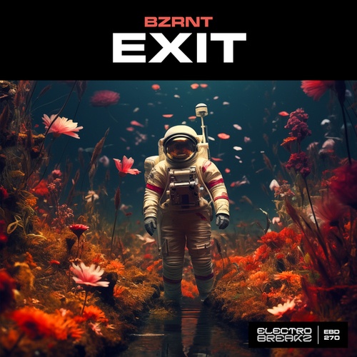 Bzrnt-Exit