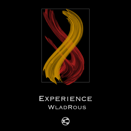 WladRous-Experience