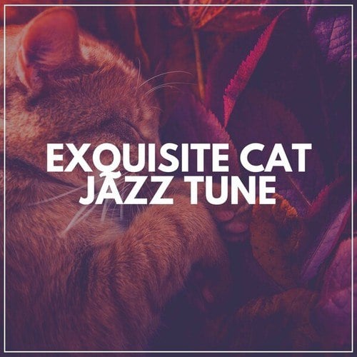 Exquisite Cat Jazz Tune