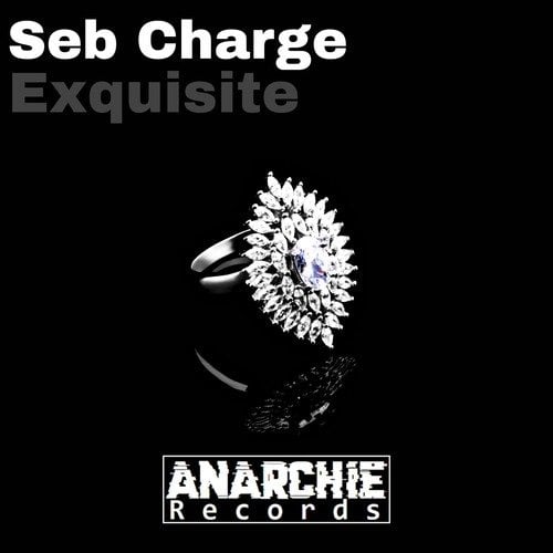 Seb Charge-Exquisite