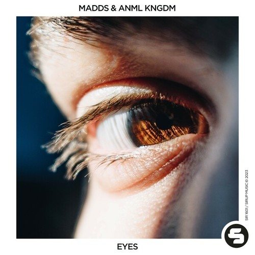 MADDS, ANML KNGDM-Eyes
