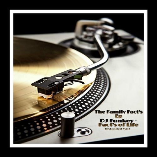 DJ Fun Key-Facts of Life (Extended Mix)