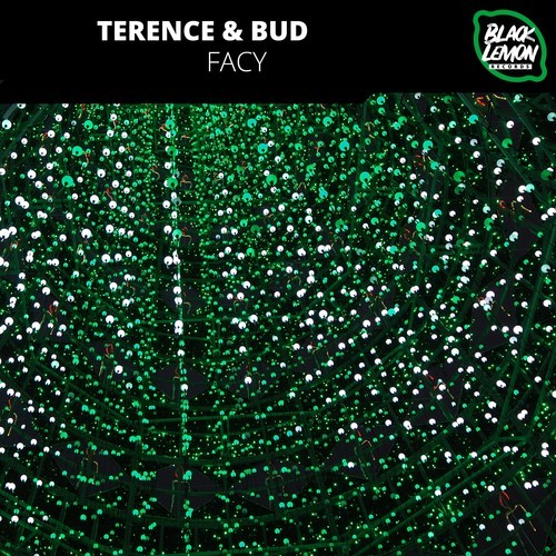 Terence & Bud-Facy