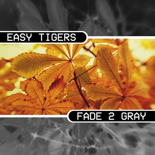 Easy Tigers-Fade 2 Gray