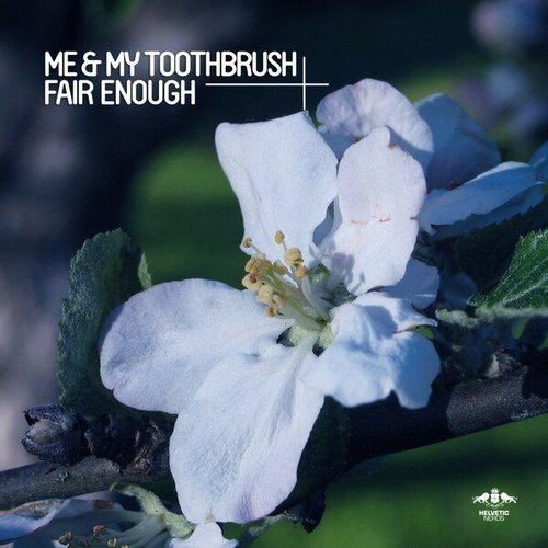 Me & My Toothbrush, Sons Of Maria-Fair Enough