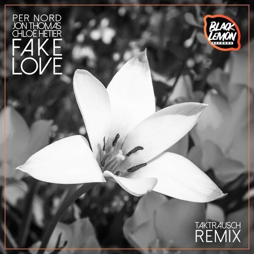 Fake Love (Takt Rausch Remix)