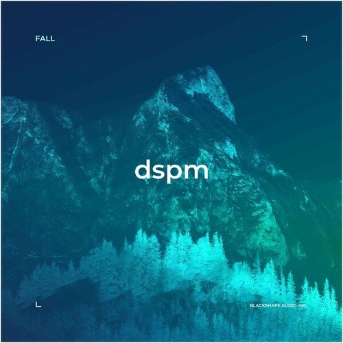 DSPM-Fall