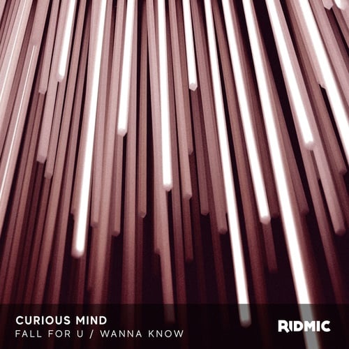 Curious Mind-Fall For U / Wanna Know