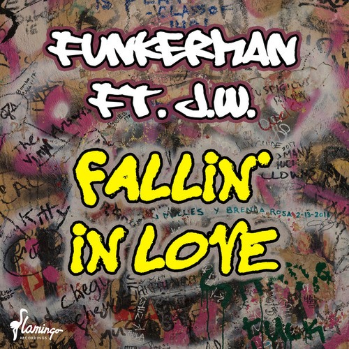 Funkerman, J.W.-Fallin' in Love