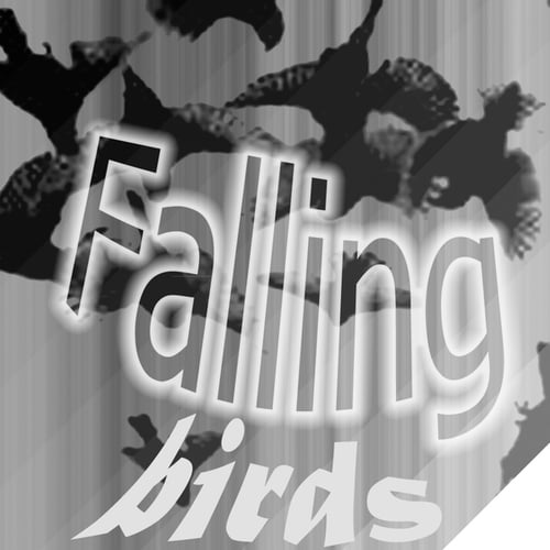 Vova BEE-Falling birds