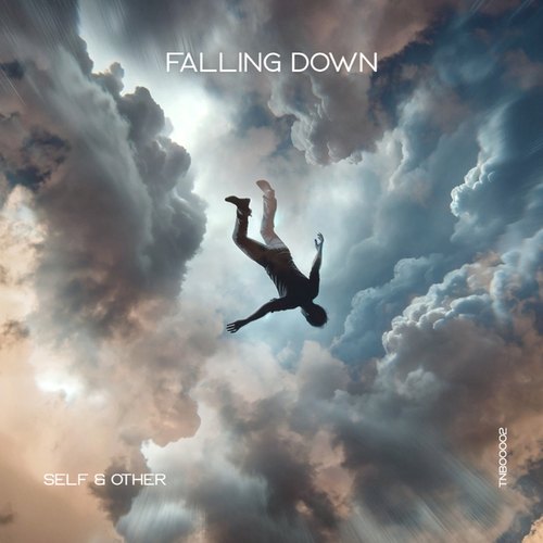 Self & Other-Falling Down