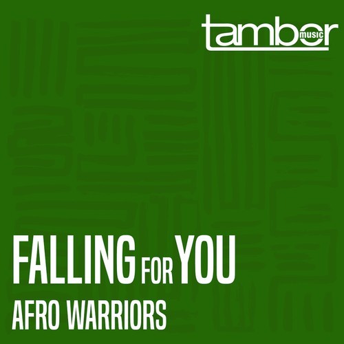 Afro Warriors-Falling for You