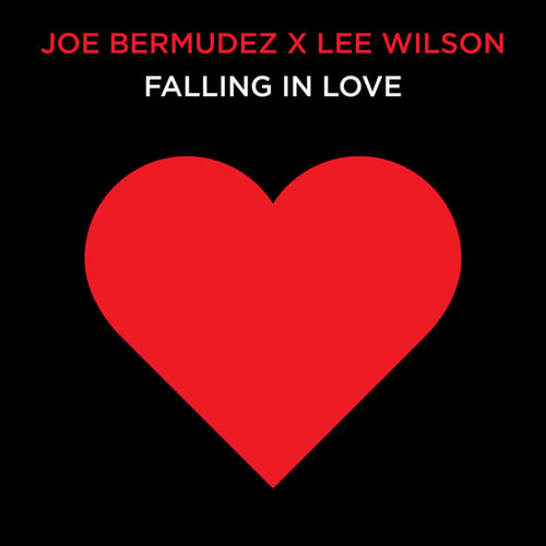 Joe Bermudez, Lee Wilson-Falling In Love