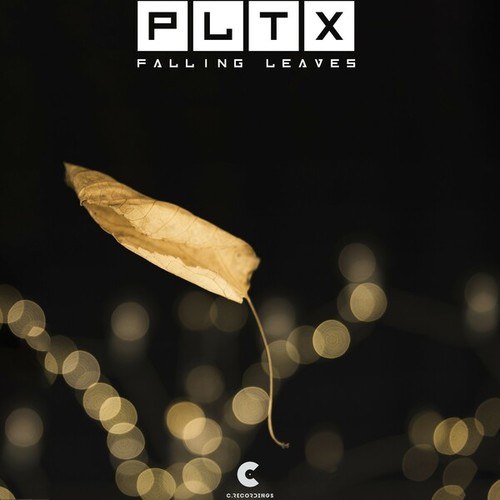 PLTX-Falling Leaves