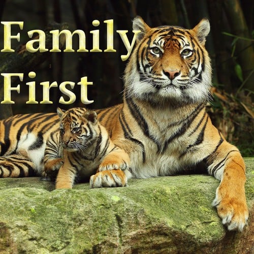 Various Artists-Family First