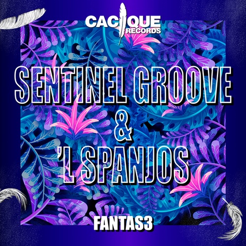 Sentinel Groove-Fantas3