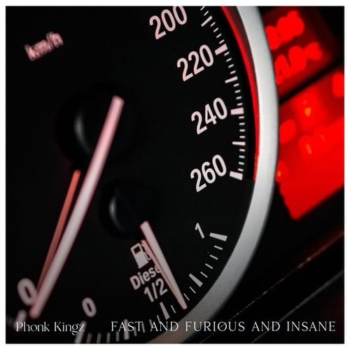 Phonk Kingz-Fast And Furious And Insane