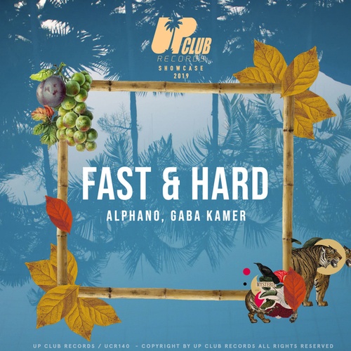 ALPHANO, Kamer-Fast & Hard