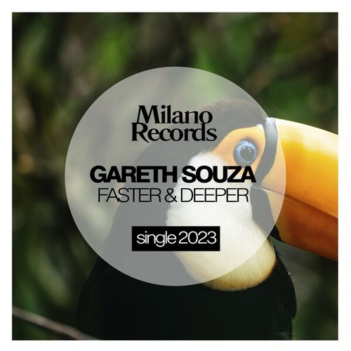 Gareth Souza-Faster & Deeper