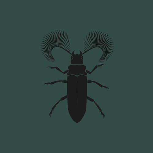 MTHZK, MMTHS, Pozek, Carara-Featherhorned Beetle EP