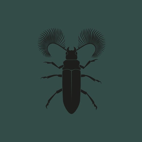 MTHZK, MMTHS, Pozek-Featherhorned Beetle EP