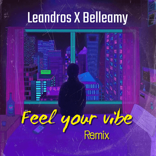 Leandros X Belleamy, Leandros-Feel Your Vibe (remix)