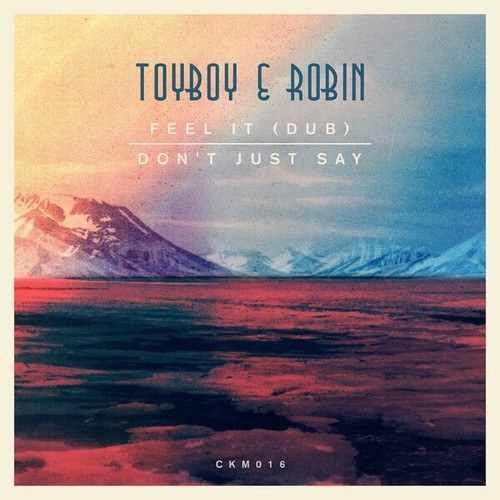 Toyboy & Robin-Feel It (Dub) / Don't Just Say