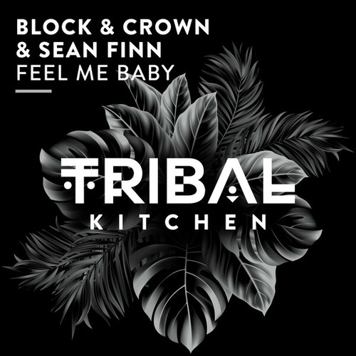 Block & Crown, Sean Finn-Feel Me Baby