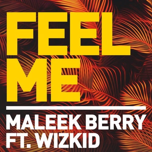 WizKid, Maleek Berry-Feel Me