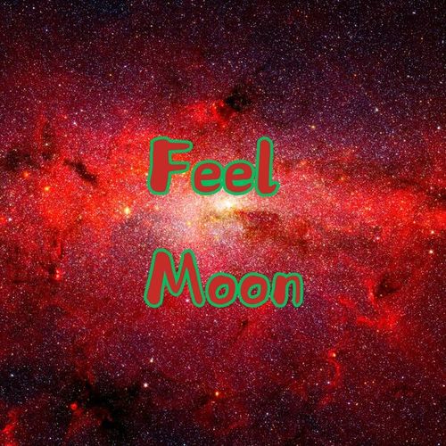 Feel Moon