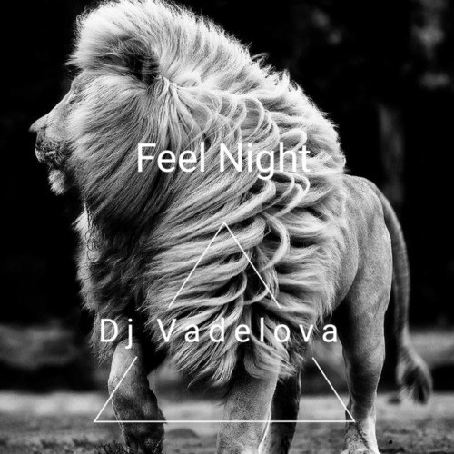 Dj Vadelova-Feel Night