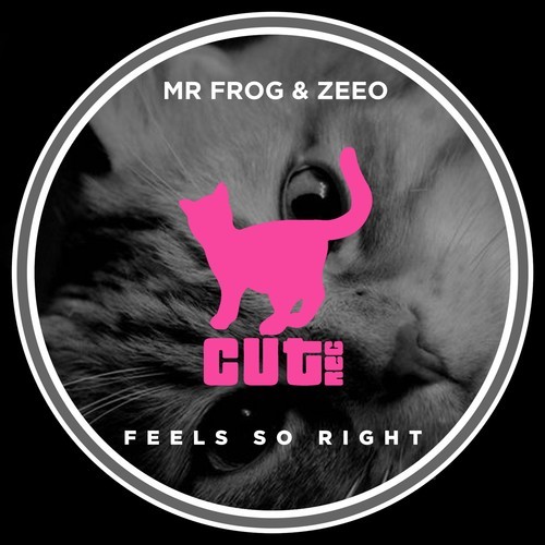 Mr. Frog, Zeeo-Feel so Right