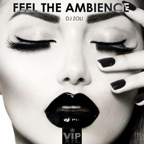 Feel the Ambience - Single