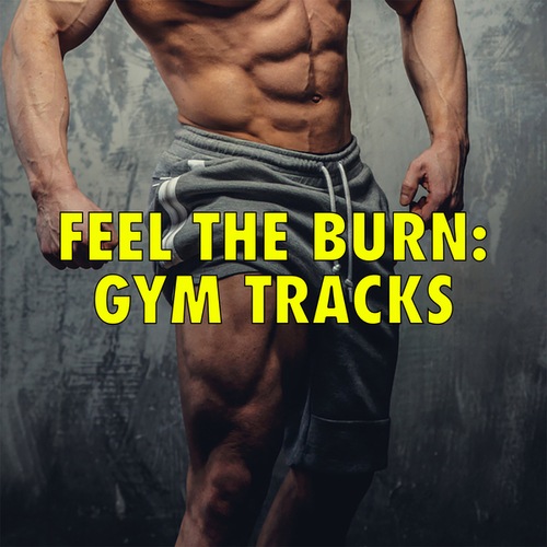 Various Artists-Feel The Burn: Gym Tracks