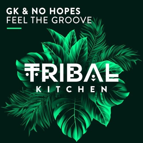 GK, No Hopes-Feel the Groove
