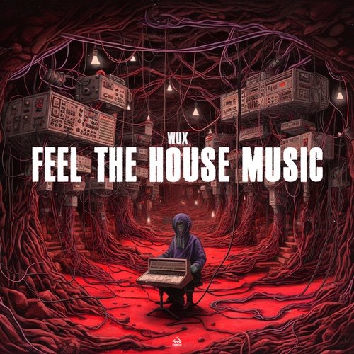 Wux-Feel the House Music