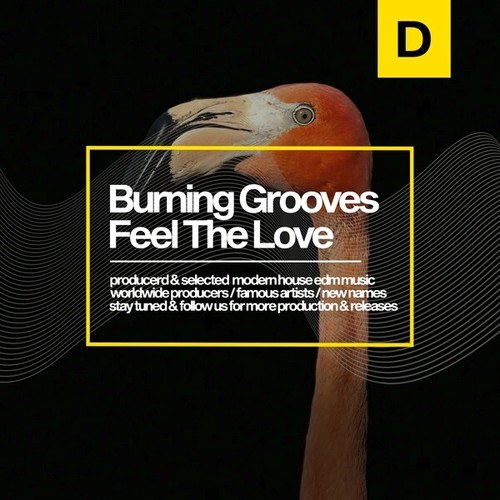 Burning Grooves-Feel the Love
