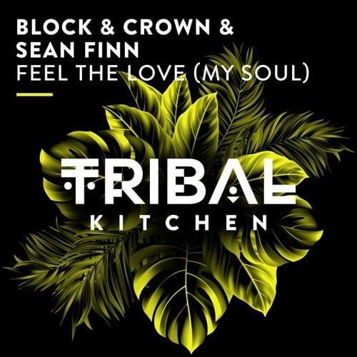 Block & Crown, Sean Finn-Feel the Love (My Soul)