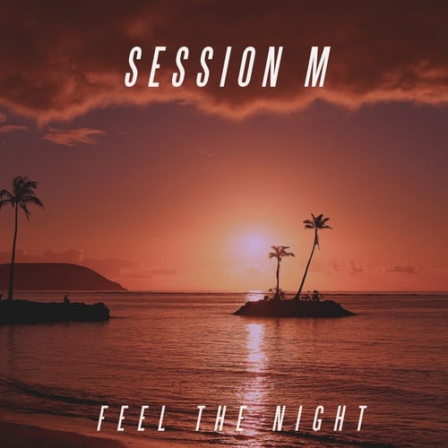 Session M-Feel The Night