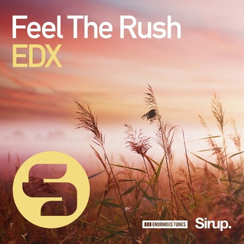 EDX-Feel the Rush