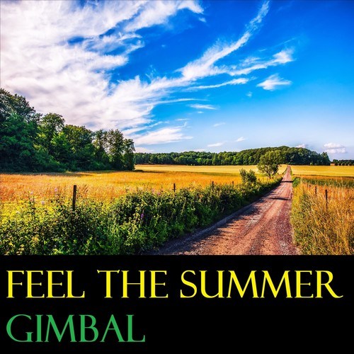 Gimbal-Feel the Summer