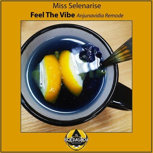 Miss Selenarise-Feel the Vibe (Anjunavidia Remode)