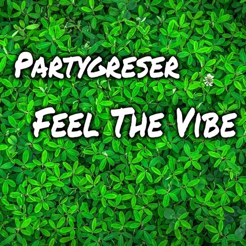 Partygreser-Feel the Vibe