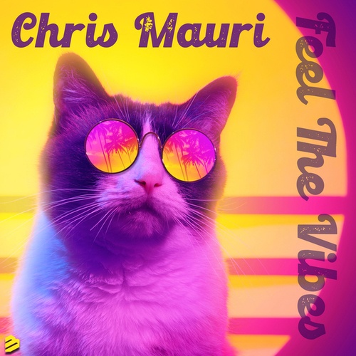 Chris Mauri-Feel The Vibes