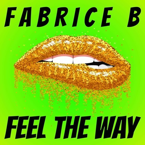 Fabrice B-Feel the Way (Radio Edit)