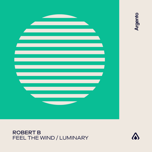 Robert B-Feel The Wind / Luminary