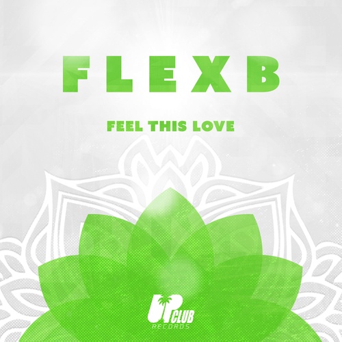 FlexB-Feel This Love