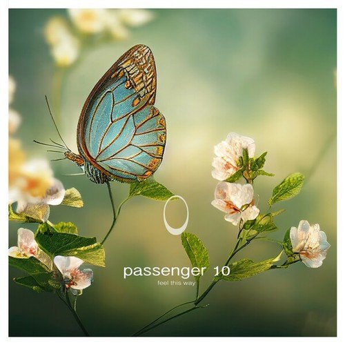Passenger 10-Feel This Way