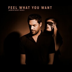 Feel What You Want (Jasmin Blust Remix) - Phonique, Rebecca, Jasmin Blust, Fairplay, Umid
